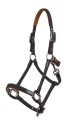LeMieux Breakaway Headcollar